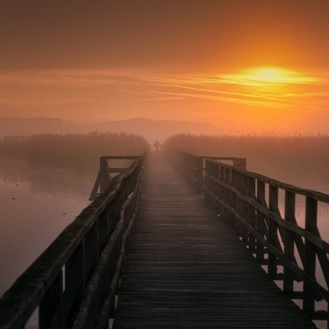Steg im Sonnenuntergang
